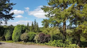 Magical Drumwhill - Idyllic Rural Nature Retreat - Image 4