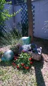 B&B Teranga - Image 5