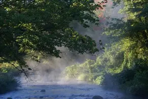 Little River Bed and Breakfast - Image 5
