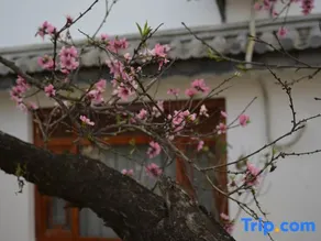 Jinxiayuan Inn - Image 3