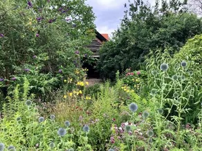 B&B Helena's Hoeve - Image 4
