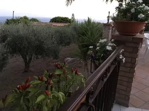 Le Quattro Sorelle - Image 4
