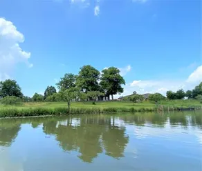 De Os en het Paard - Image 2