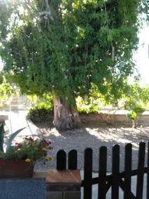 Casa sorrapa - Image 3