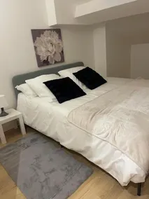SAINT ETIENNE TRES BEL APPRT COSY et MODERNE - Image 2