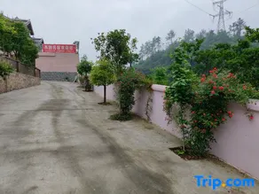 Bzhouquwujiangzaxiyuanmingxu - Image 5