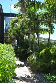 Reve de St Barth - Image 3