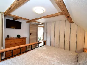 Holiday Home In Huttenrode With Infrared Sauna - Image 4