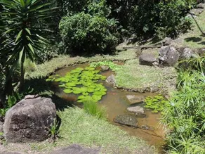 Aruna Eco Spa - Image 5