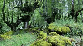 Baserri Ulle Gorri - Image 3