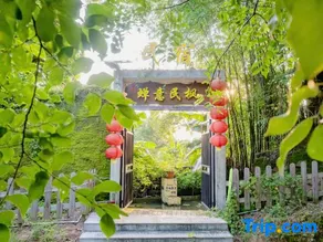 Cozy Minfeng Homestay (Zhongshan Yuhou Branch) - Image 4