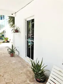 Casa Azul - Image 4