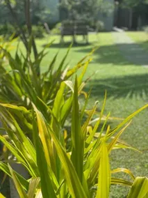 Villa Crystals - Image 4