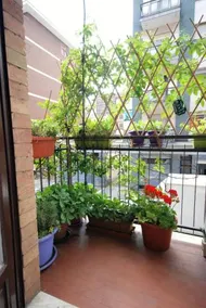 Torino Sweet Home Tibone - Image 2