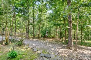 Relaxing BV Home near Golfing, Hiking, & Lakes - Image 5