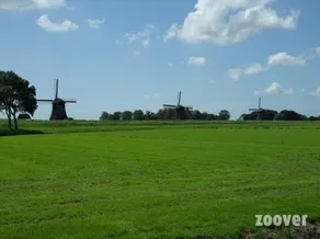 De Gouden Karper - Image 4