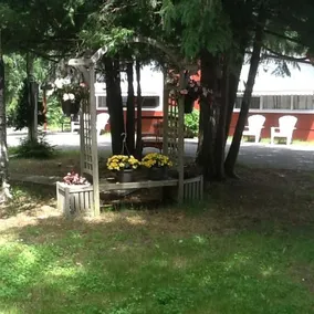 Big Buffalo Resort - Image 3