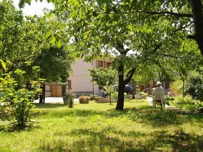 L'Angolo Dei Ciliegi - Image 3