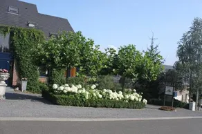 Villa Roma - Image 3