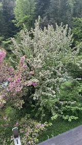 Les Quatre Saisons - balcon et jardin - Image 3