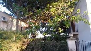 Tenuta Venezia - Image 5