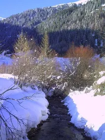 Hotel Murrerhof - Image 3