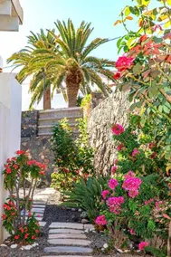 Casa Volcan - Image 2