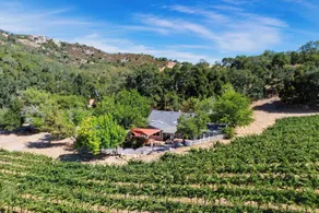 Luxury Wine Country Haven Vineyard Views Near Top Wineries Adelaida Farmhouse - Image 3