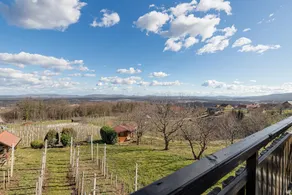 Vineyard Cottage Bahor - Image 3