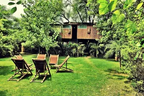 The Tree House Resort, Jaipur- A Club Mahindra Associate - Image 4