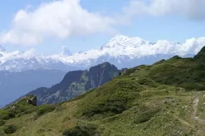 Walliser Spycher - Image 4