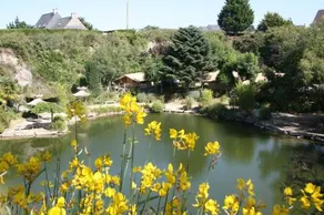 Camping Le Chatelet - Image 2