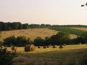 La Musardière - Image 3