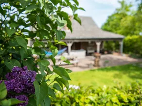 Beautiful Holiday Home In Lage Mierde Near Forest - Image 3