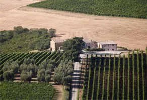 Agriturismo Il Poggione - Image 3