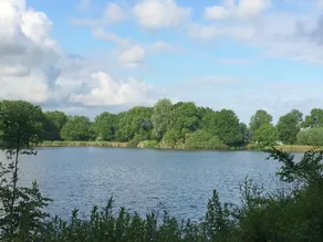 Cozy chalet with three bedrooms, on a holiday park near Alkmaar - Image 3