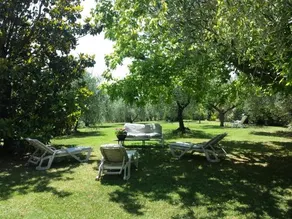 Trecentolivi B&B - Image 4