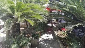 B&B Citrus Garden - Image 2