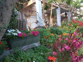 Kibbutz Ha'Ogen - Image 2