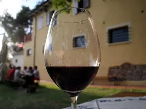 Casa Uva - Image 2