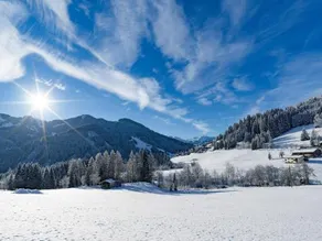 Feriendorf Wildschönau in Kitzbühel Alps - Image 5