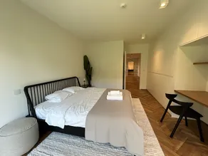 Amazing 3-Bedroom Gem in LuxembourgID232 - Image 4