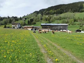 Apartement Bergblick Und Venediger - Image 4