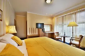 Hotel Villa Conti - Image 4