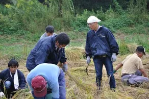 Pension Ippekiko - Image 2