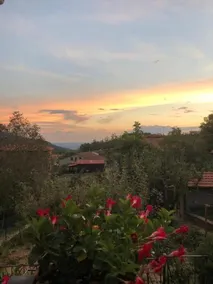 Albergo Ristorante Letizia - Image 3