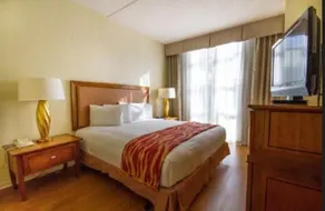 Rodeway Inn South Miami - Coral Gables - Image 2