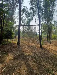 The Jungle Resort - Image 2