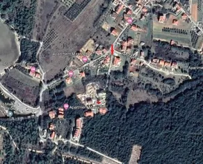 Atena Zaton - Image 3