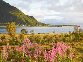 6 Person Holiday Home in Laukvik-by Traum - Image 5